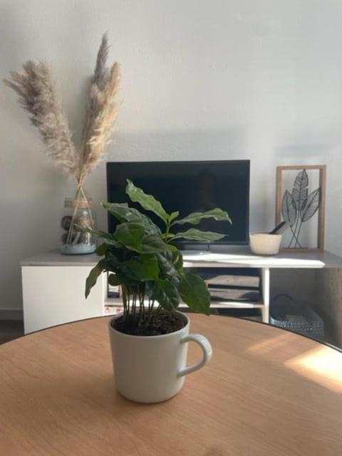 Appartement Calme Au Coeur De La Ville Lons-le-Saunier Εξωτερικό φωτογραφία