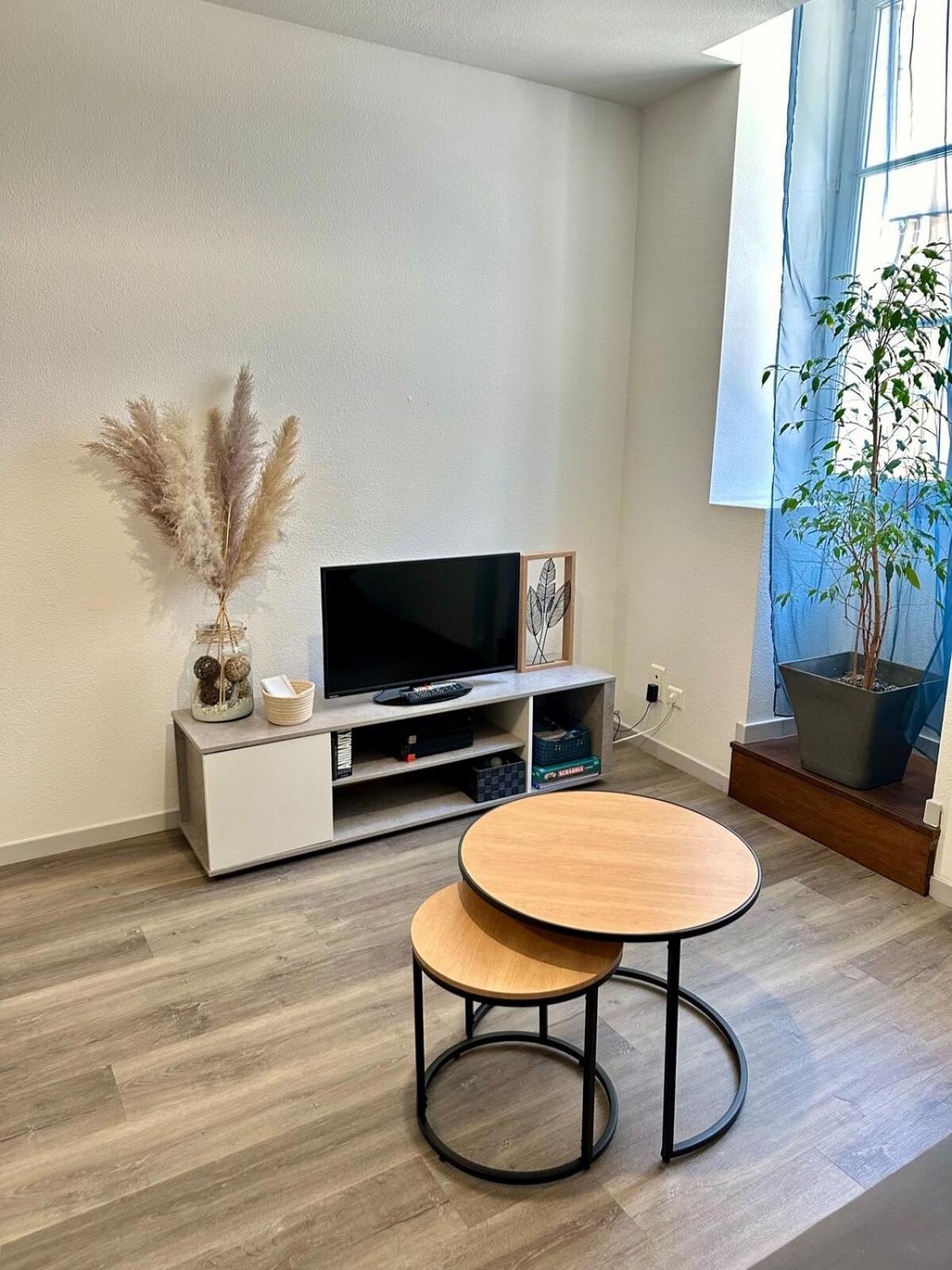 Appartement Calme Au Coeur De La Ville Lons-le-Saunier Εξωτερικό φωτογραφία